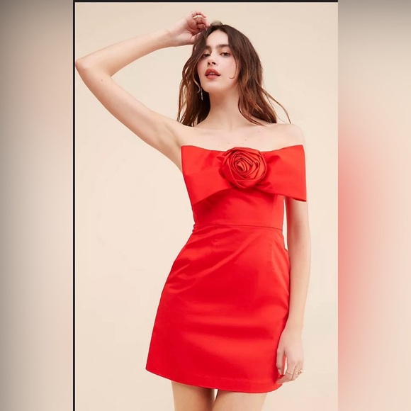 Anthropologie Dresses & Skirts - Anthropologie Hutch 3D Rosette Strapless Mini Dress Red , XXS